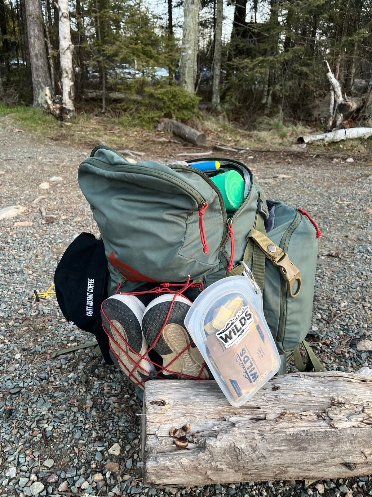 Wilds NOW GO! kit